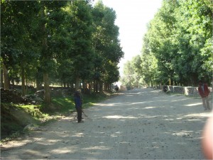 Lonely road to Keylong