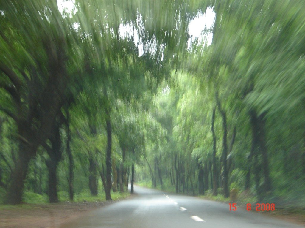 Feel the green with speed 