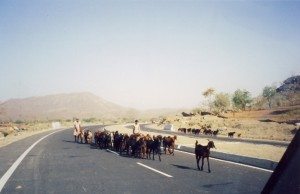 No vehicles around. Why not us?