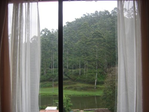 View from hotel-One of the river from Munnar