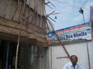 Kalam's brother Sea Shell shop