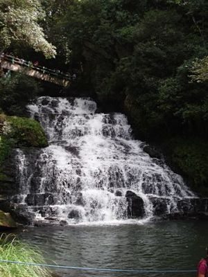 Elephant Fall - Step -III