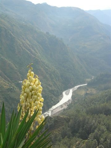 Gauriganga from Munsiyari