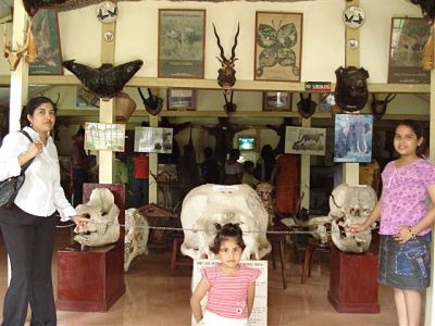 Lady Hydari Park - Forest Museum