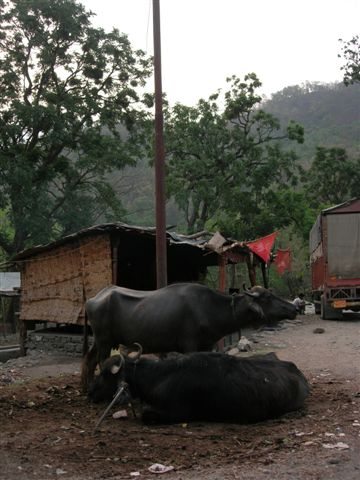 Indifferent Spectators..