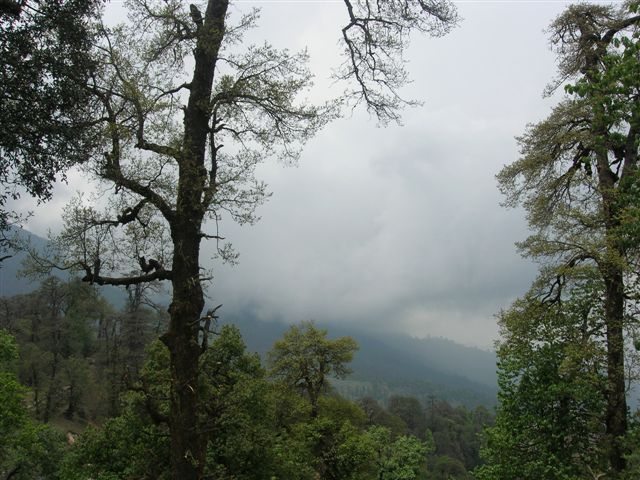 On the way to Maisar Kund