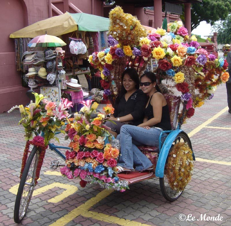 पता नहीं क्या ज़्यादा सुन्दर है ? त्रिशा या लड़कियां ....