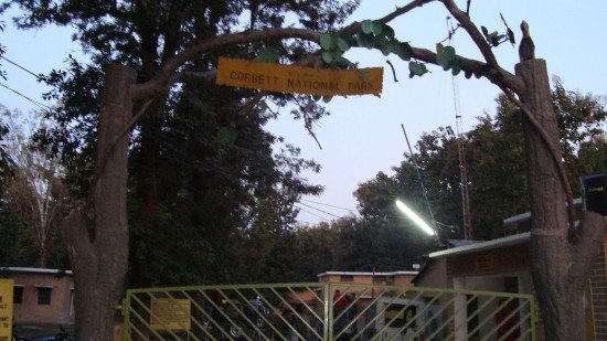 Corebett National park - Bijrani gate