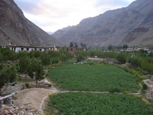 The green fields of Tabo