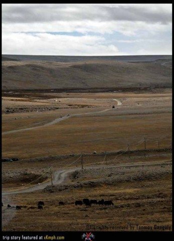 Thangu to Gurudongmar 11