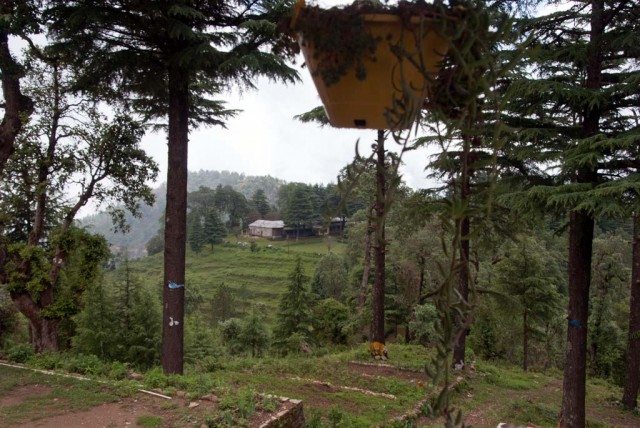 The Abbey from the terrace 