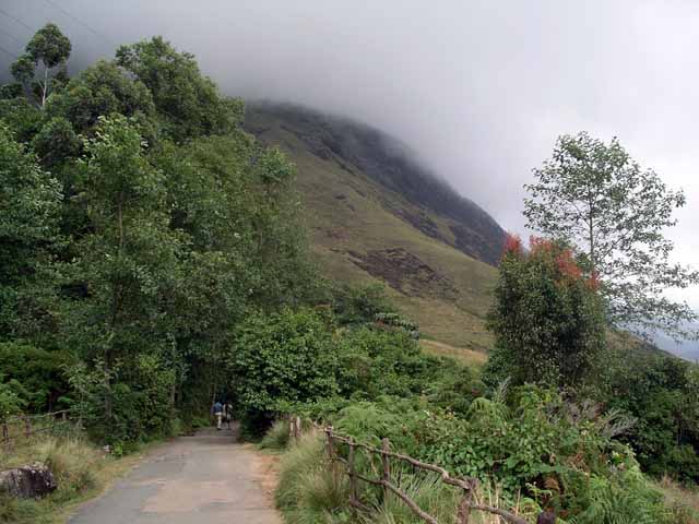 Spectacular View at Rajamalai