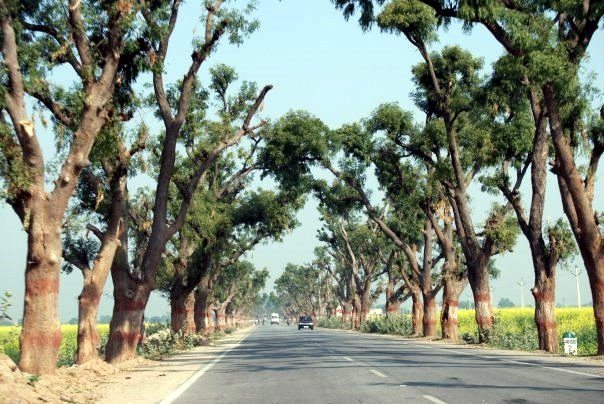 On the way to Ranthambore