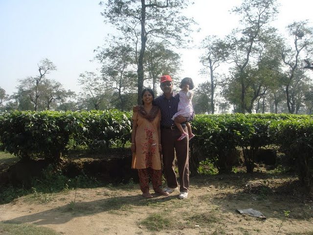 Tea Estate Tea Estate