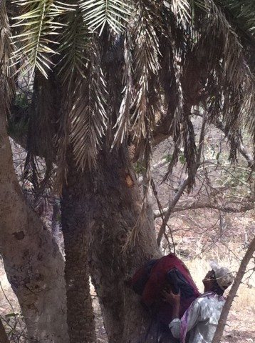 19 Helping me in climbing the machan