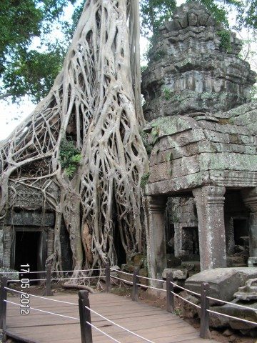 Lara Croft: Tomb Raider