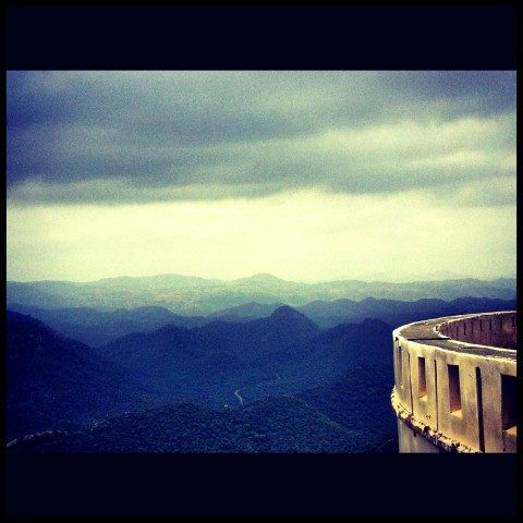 Wildlife sanctuary from Sajjangarh Palace