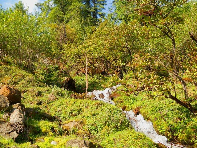 रास्ते की साथी, एक मीठी जल धारा...