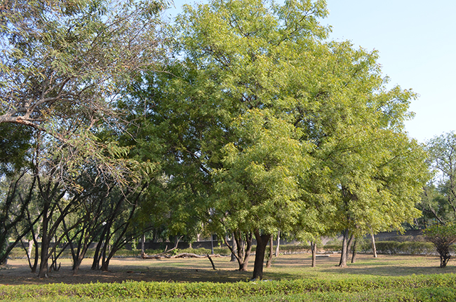 You will find yourself lost in much more space, grass