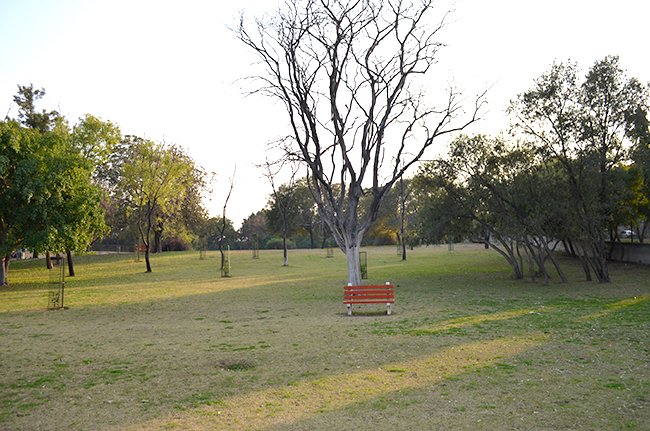 Tired...you can use me