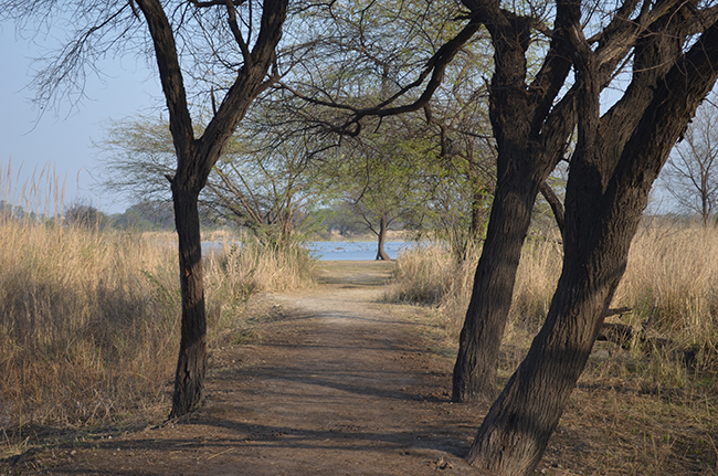 Path, which would lead you up to near the water