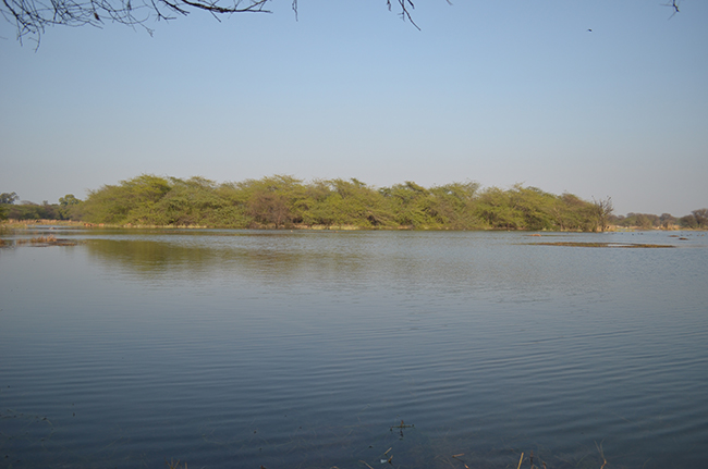 Lake, full of water. Did you notice deers?