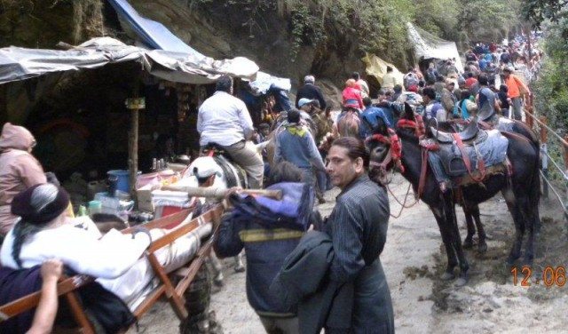 overcrowded and too much stinky 