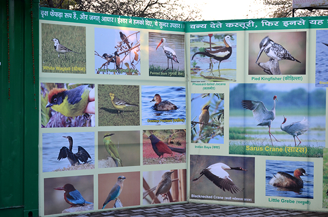 Sultanpur National Park