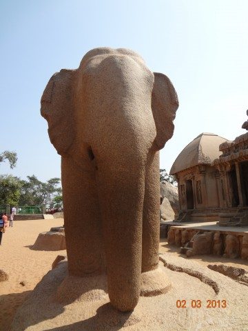  Huge Elephant at Pancha Ratha