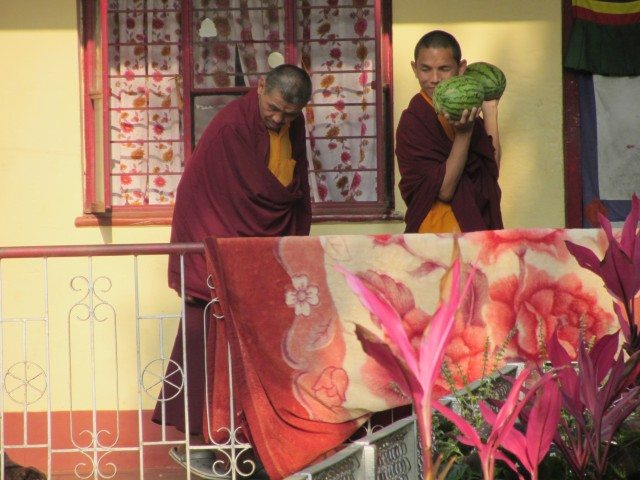 Monks in their colorful red robes