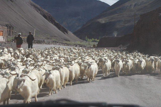  गाड़ी से अंदर से लिया हुआ फोटो।