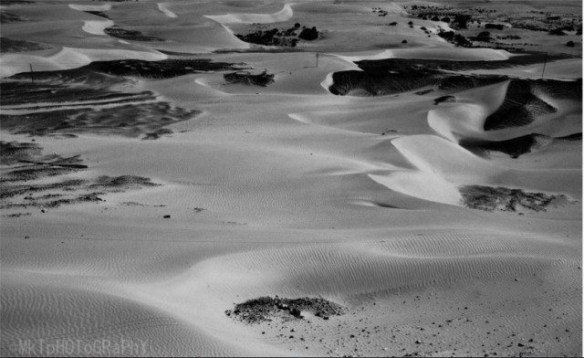 ये फोटो मनोज के कैमरे से।