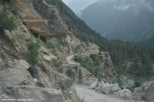 Imagine the Curve and the road type