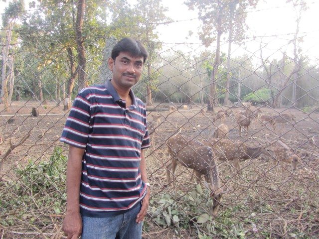 The deer park inside the island