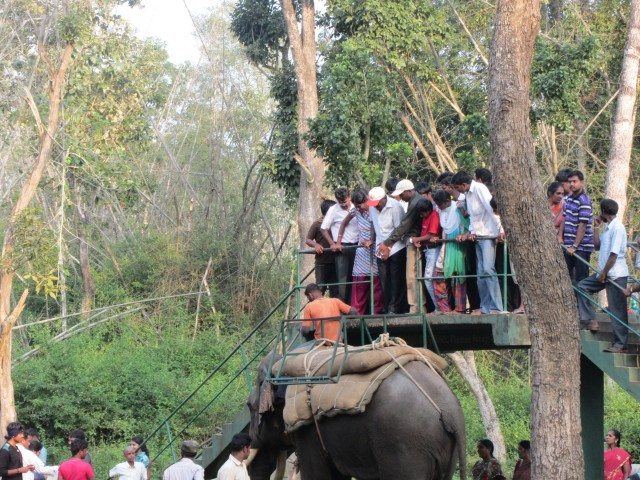 The hordes waiting for the Elephant ride