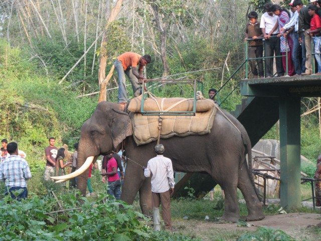 The ride about to start