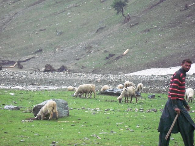 Hum bhi hain yahan par