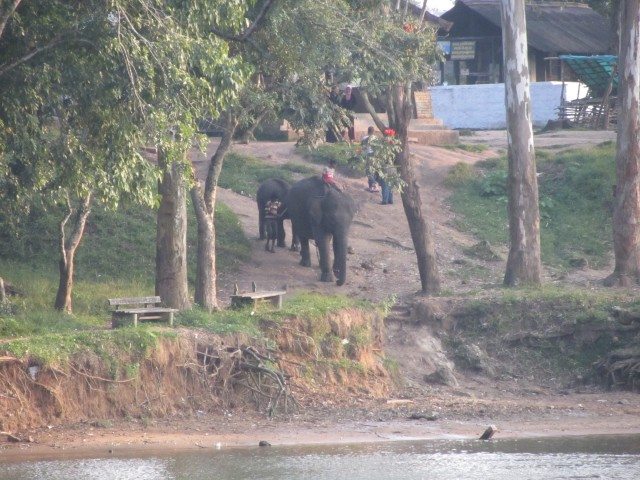 Views of the elephants and the camp on the opposite bank of the river