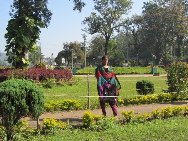 Lots of beautiful plants adorn the garden