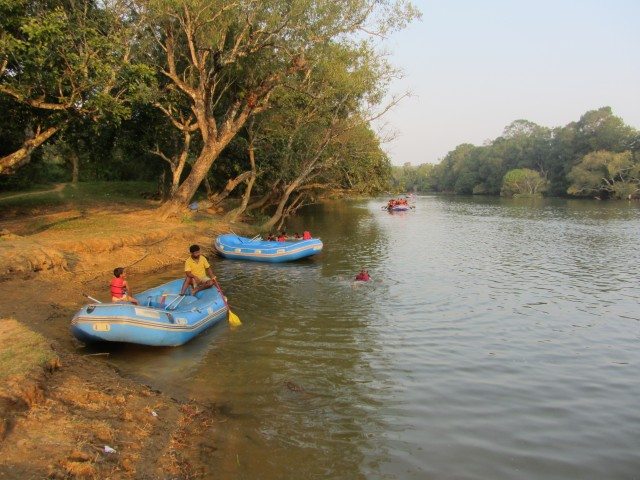 My co-passenger having a bath in Cauvery