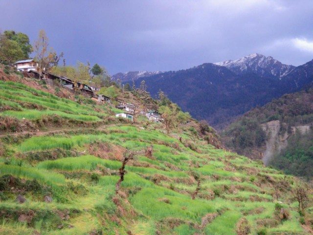 On the way to Dodital