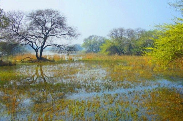 Sultanpur National Park