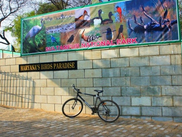 My new found love and my travel buddy...