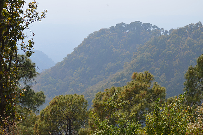 I would have love to be in co-passengers' seat