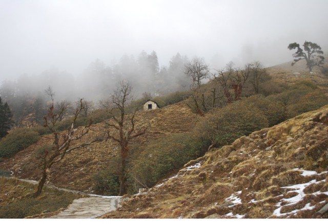 एकांत मे बनी एक कुटिया देखते ही बनती थी।