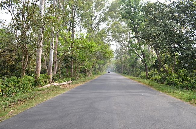Rudrapur - Haldwani Road