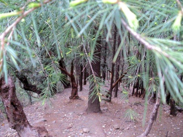 Prashar Lake – A Hidden Gem