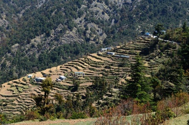 Another early morning scene at Dhanaulti. It looked very dull at noon. 