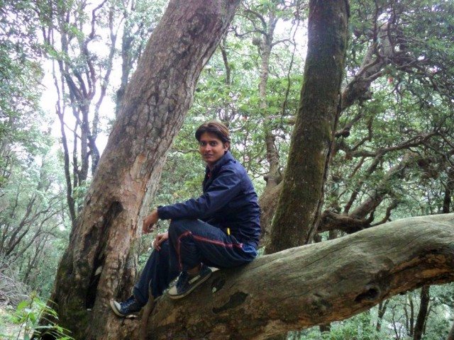 Junglee in the jungle…