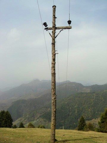 Desi jugaad in an open meadow